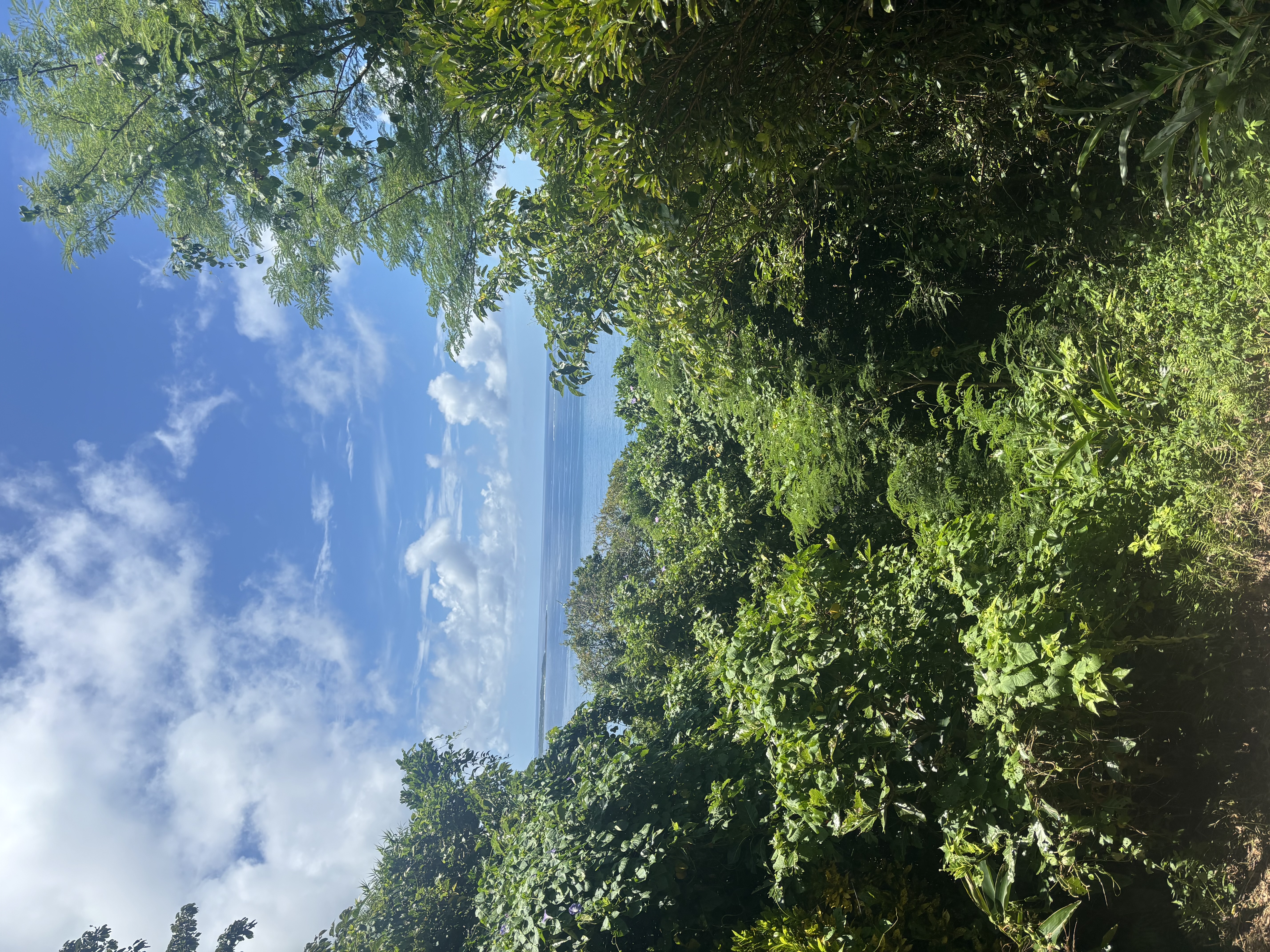 温泉旅行